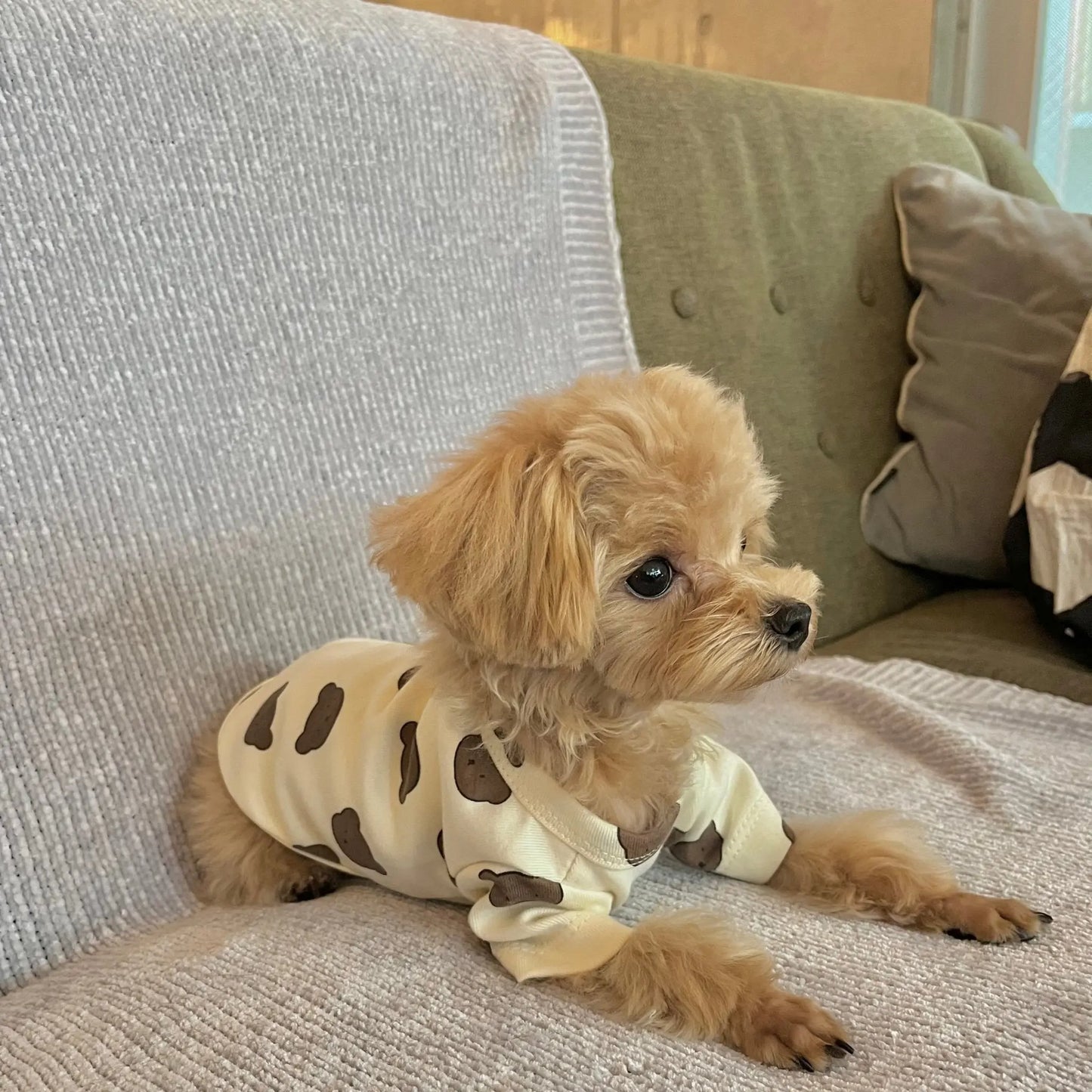 Bear T-shirt - LIKE ME