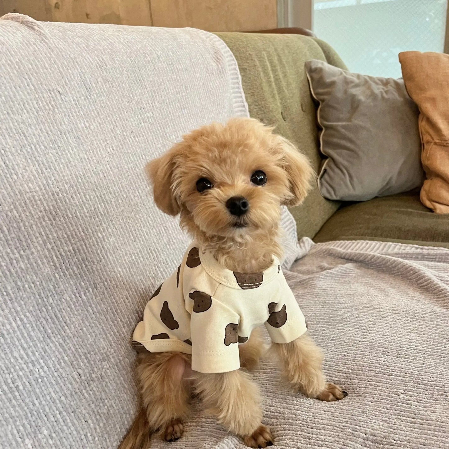Bear T-shirt - LIKE ME