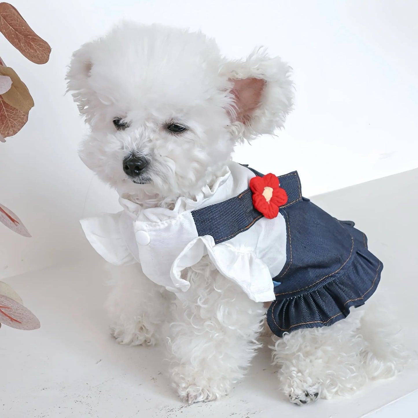 Frilled Shirt × Denim Overalls One - piece - LIKE ME