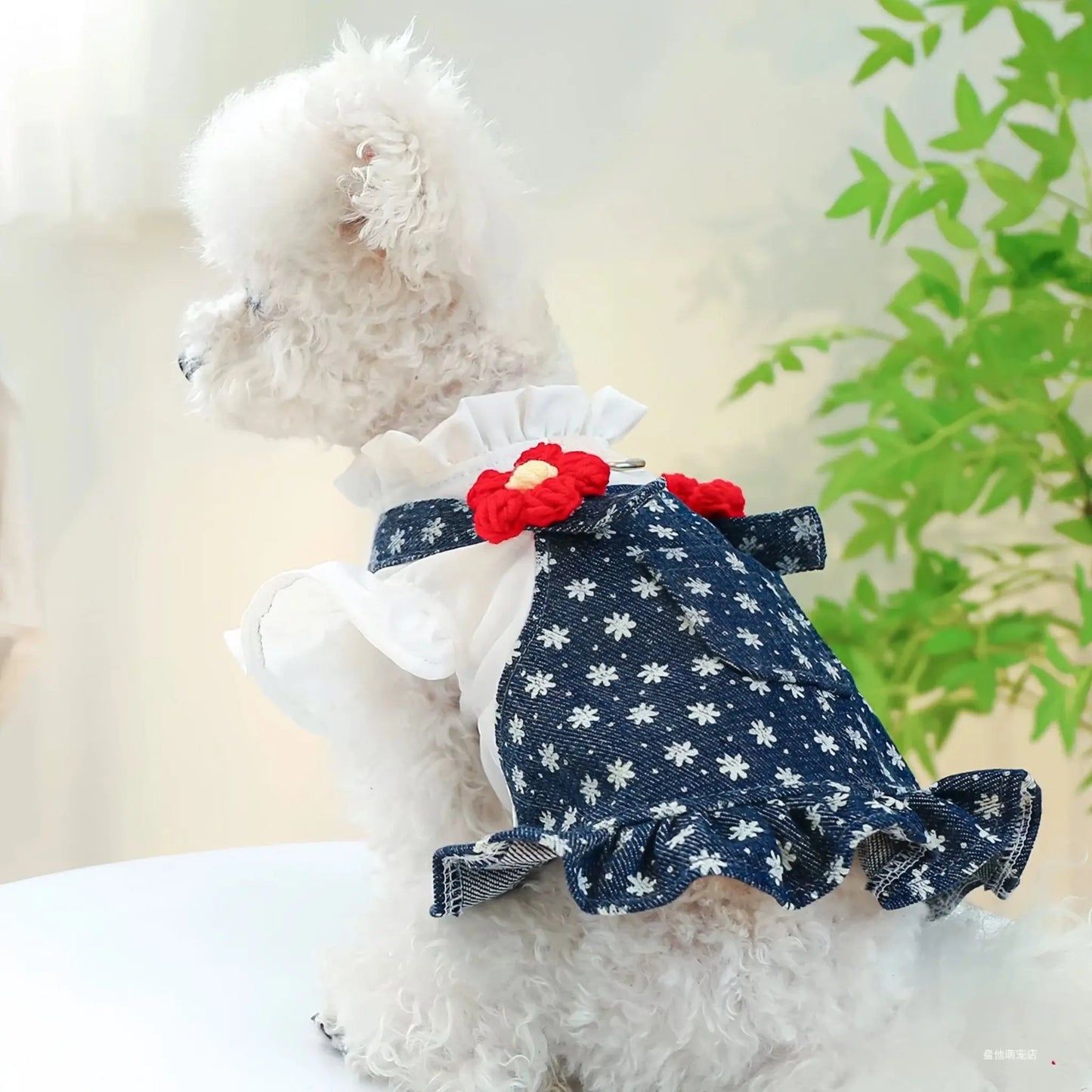 Frilled Shirt × Denim Overalls One - piece - LIKE ME