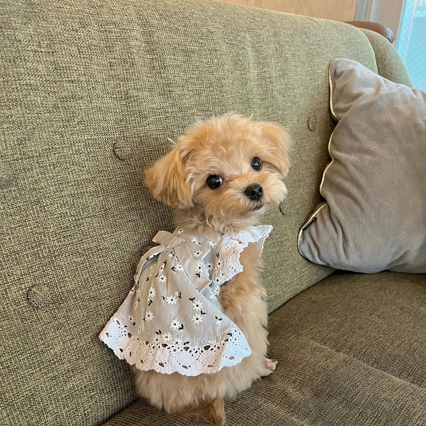 Lace Frill Flower Ribbon One - piece - LIKE ME