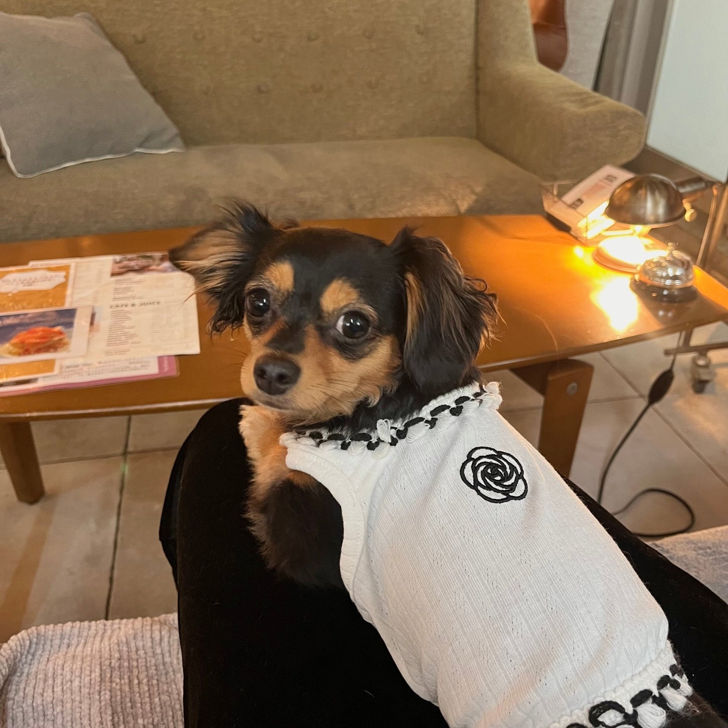 Coco Rib Knit Tops - LIKE ME