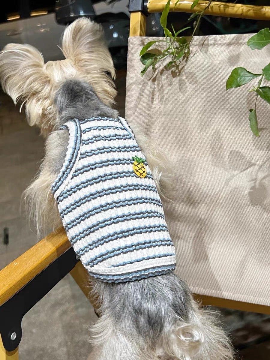 Fruit Striped Knit Tank - LIKE ME