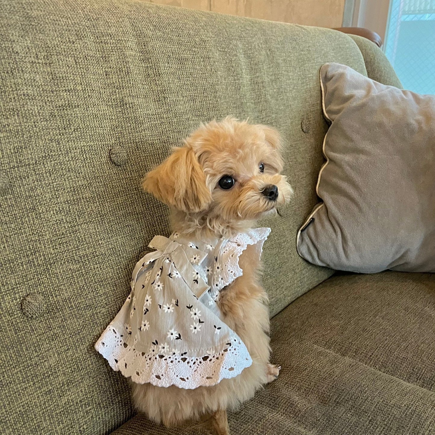 Lace Frill Flower Ribbon One - piece - LIKE ME
