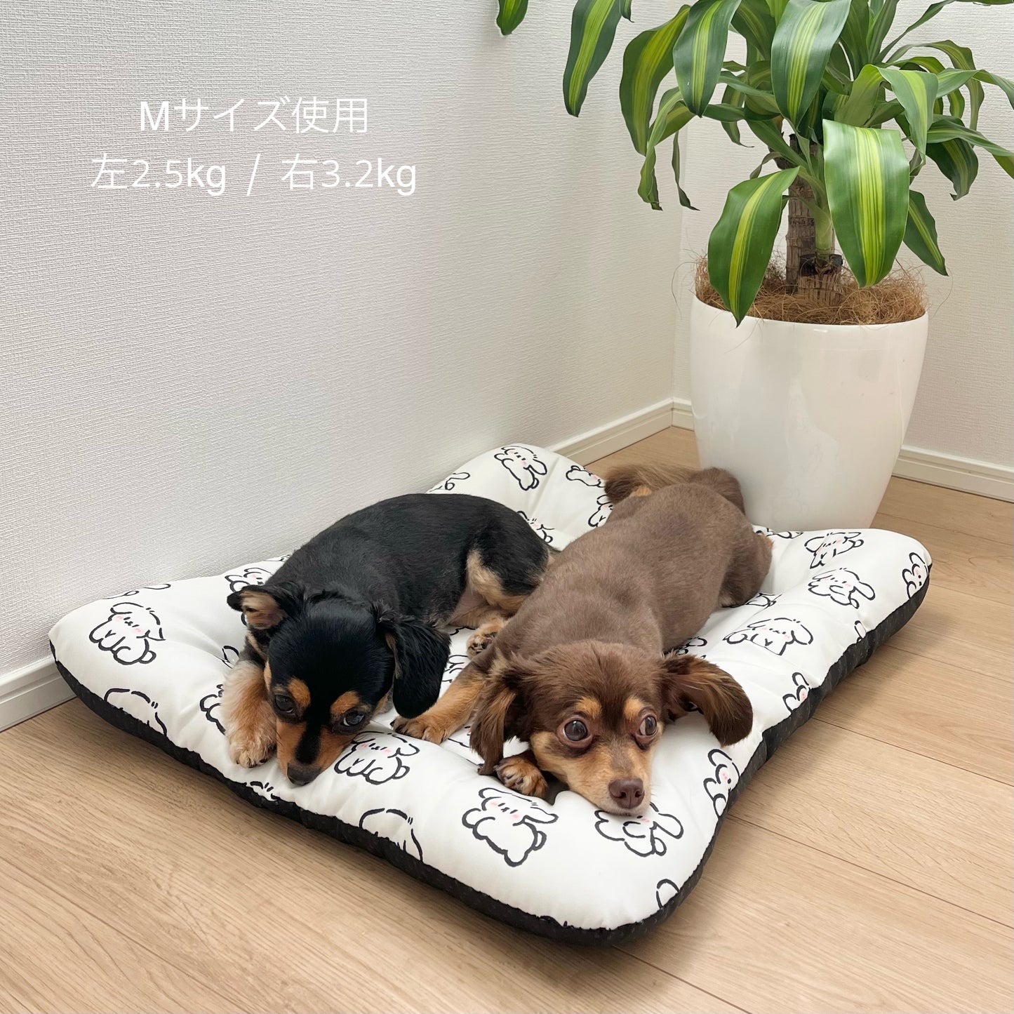 Cool Touch Mat