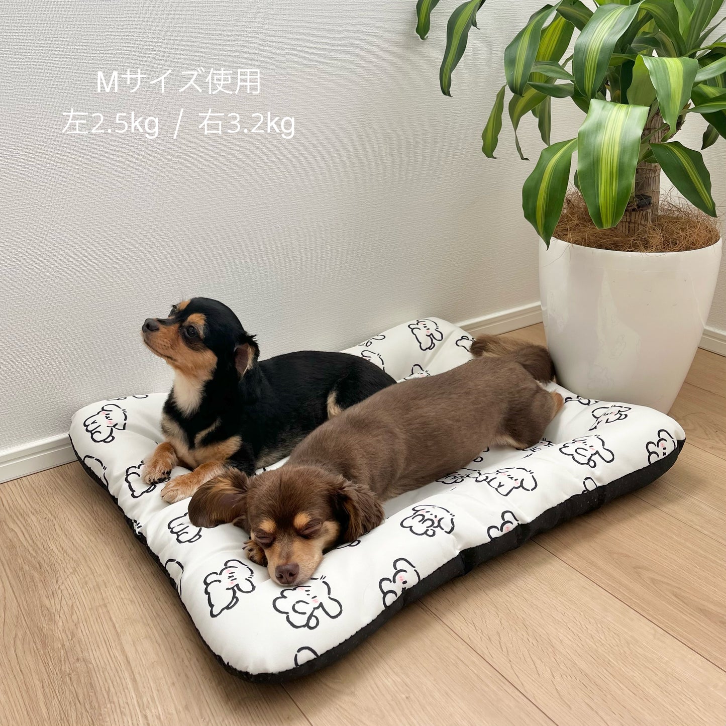 Cool Touch Mat