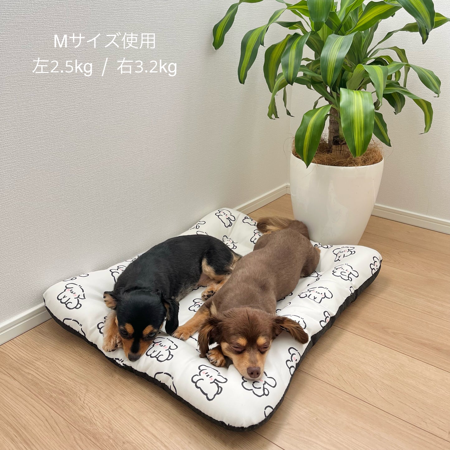 Cool Touch Mat